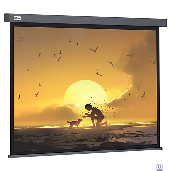 Экран Cactus Wallscreen CS-PSW-124X221-SG 124.5х221см 16:9 настенно-потолочный рулонный серый