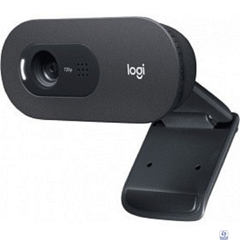 960-001372/960-001373 Logitech WebCam C505e  (960-001373)