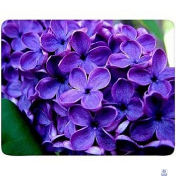 Коврик для мыши Buro BU-M20049 рисунок/сирень [291846]
