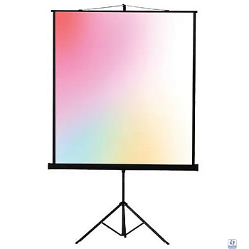 Lumien Eco View LEV-100113 Экран на штативе 110x192 см (раб.область 104x186 см) (84") Matte White 16:9