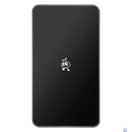 Повреждение упаковки Smartbuy Portable SSD 256GB P5 Pro USB 3.2 silver [SBD256P5SU3C]