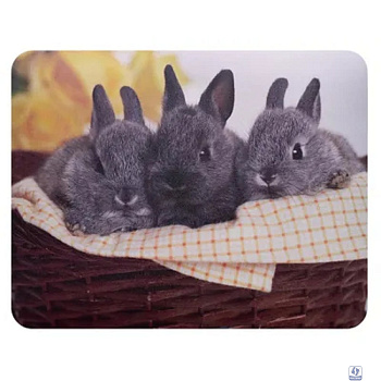 Коврик для мыши Buro BU-M40092 рисунок/кролики [291852]