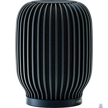 Акустическая система серии SberBoom модели SBDV-00090, цвет черный, торговой марки SBER