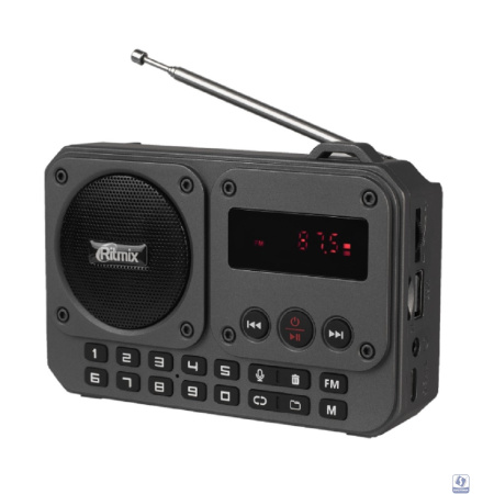 RITMIX RPR-010