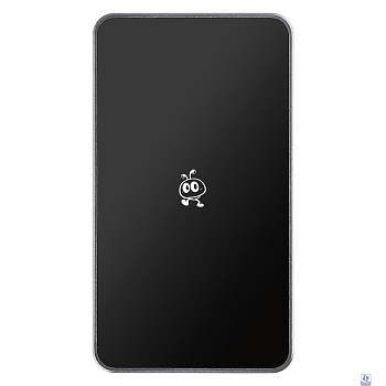 Smartbuy Portable SSD 256GB P5 Pro USB 3.2 silver [SBD256P5SU3C]