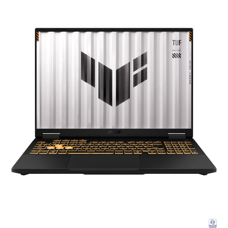 ASUS TUF F16 FX608JMR-RV170 [90NR0NB1-M009D0] Grey 16" 