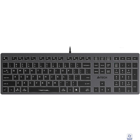 Клавиатура A4Tech Fstyler FX60H серый USB slim LED (FX60H GREY/WHITE)/1787693
