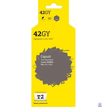 IC-CCLI-42GY Картридж T2 для Canon PIXMA Pro-100/100S, серый