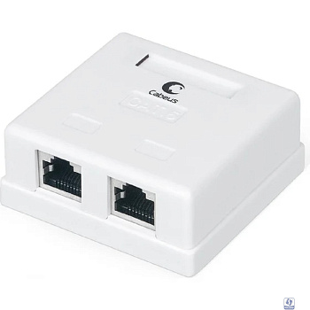 Cabeus WS-8P8C-Cat.6-SH-2 Розетка компьютерная RJ-45(8P8C), категория 6, экранированная, двойная, внешняя, Dual IDC