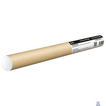 Термопленка Cactus CS-FILM-R-MPC3000 для Aficio MPC3300/MPC3000/MPC2800/MPC2500