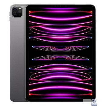 Apple iPad Pro 12.9-inch 2022 256GB Wi-Fi + Cellular - Space Gray [MP203RK/A]