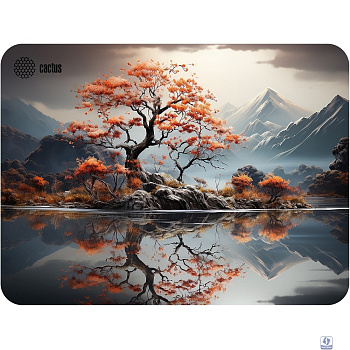 Коврик для мыши Cactus Lake 400x300x3мм (CS-MP-PRO18XL)