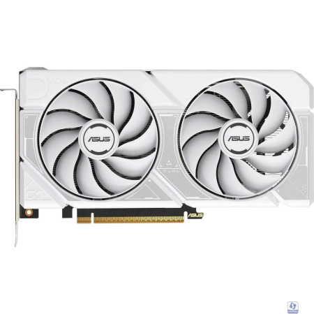 Видеокарта ASUS GeForce RTX5060 8Gb DDR7 128 bit 3*DP/HDMI 2FAN (DUAL-RTX5060-O8G-WHITE) RTL   