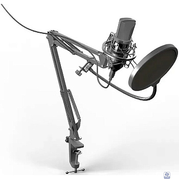 Повреждение упаковки RITMIX RDM-169 Black 