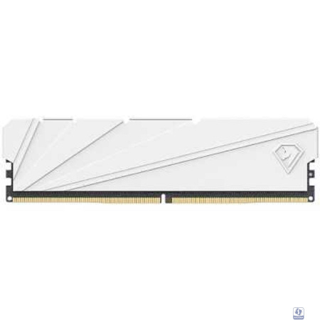 Netac DDR4 DIMM 16GB Shadow II 3200MHz CL16 1.35V / NTSSD4P32SP-16W / White / with radiator