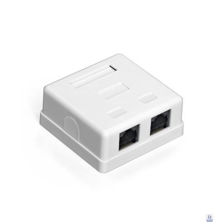 Exegate EX292845RUS Розетка внешняя двойная ExeGate SM2-RJ45-C6 RJ-45 кат.6 UTP Krone/110