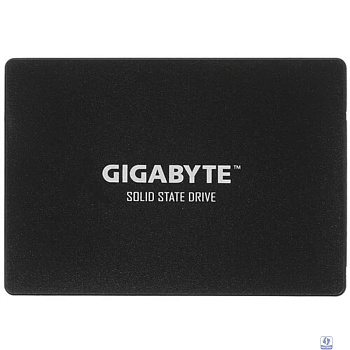 Gigabyte SSD 256GB GP-GSTFS31256GTND 