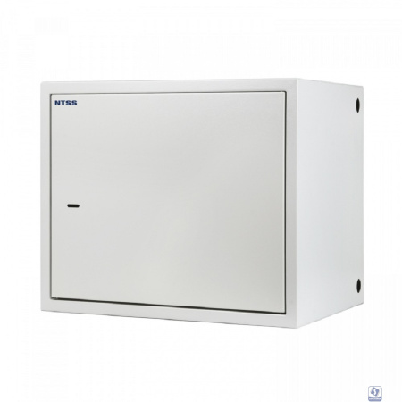 NTSS Шкаф настенный антивандальный распашной NTSS WAR 10U 600*500мм, 2 профиля 19, сварной, серый RAL 7035 NTSS-WAR10U6050